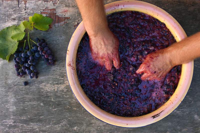 Making New Wine