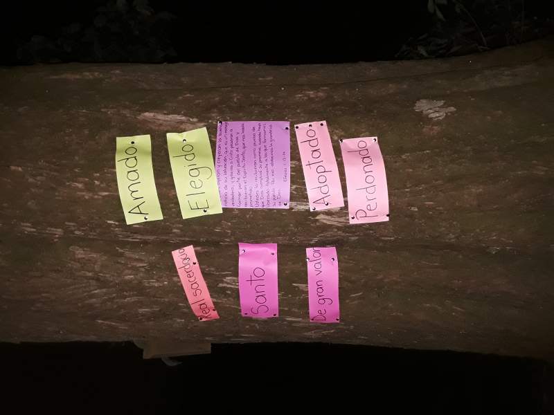 Identity Tree