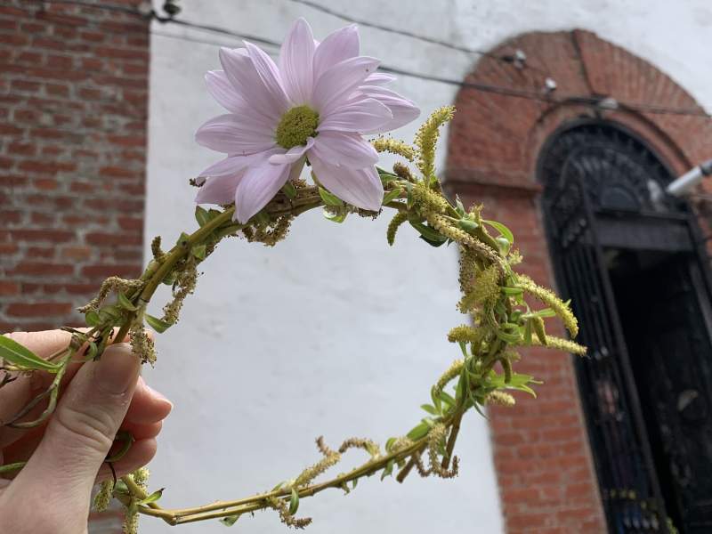 palm sunday flowers