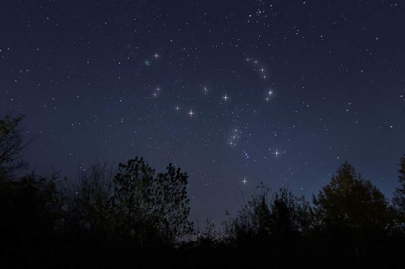 Orion