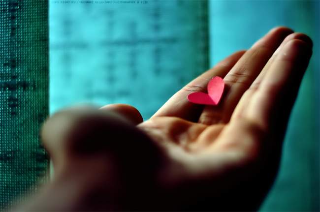 heart in hand