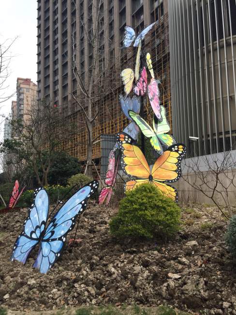 Butterflies bring beauty everywhere they are.