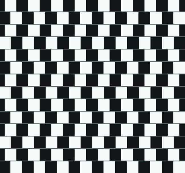 Optical Illusion