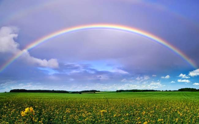Rainbow