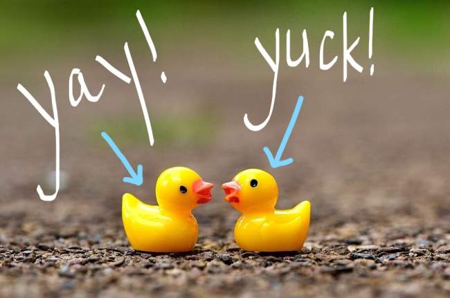 a pair of ducks named "yay" and "yuck"